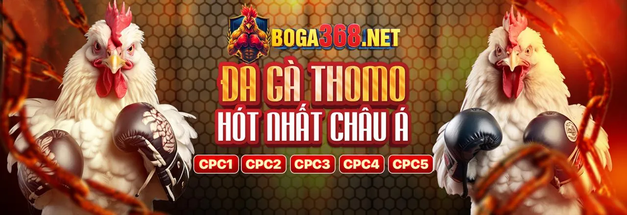 Đá gà trực tuyến sm66 app